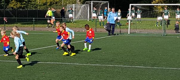 groentjes asv Dronten