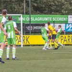 IMG_8087